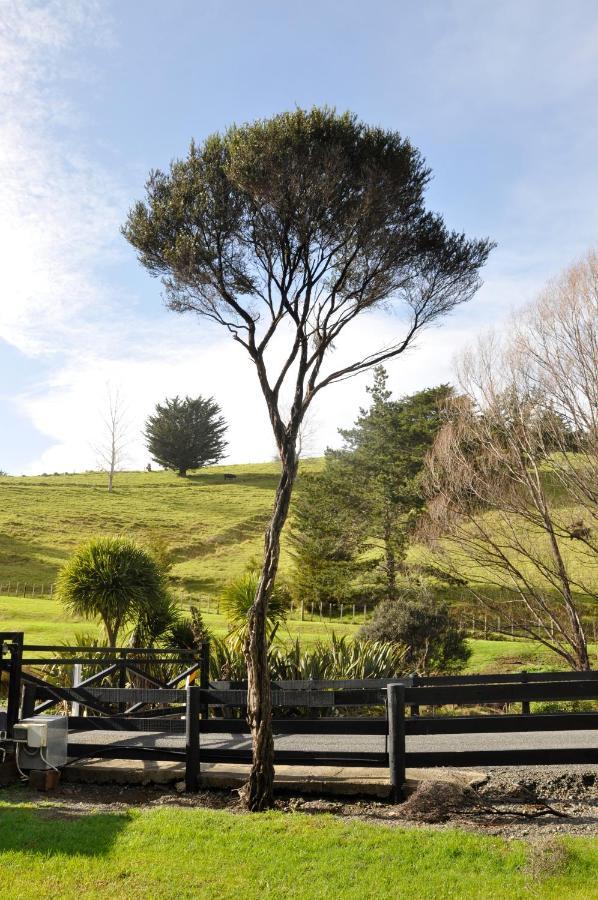 Matapouri & Tutukaka Spectacular Coastal Views- Aroha Luxury Guest Suite 외부 사진